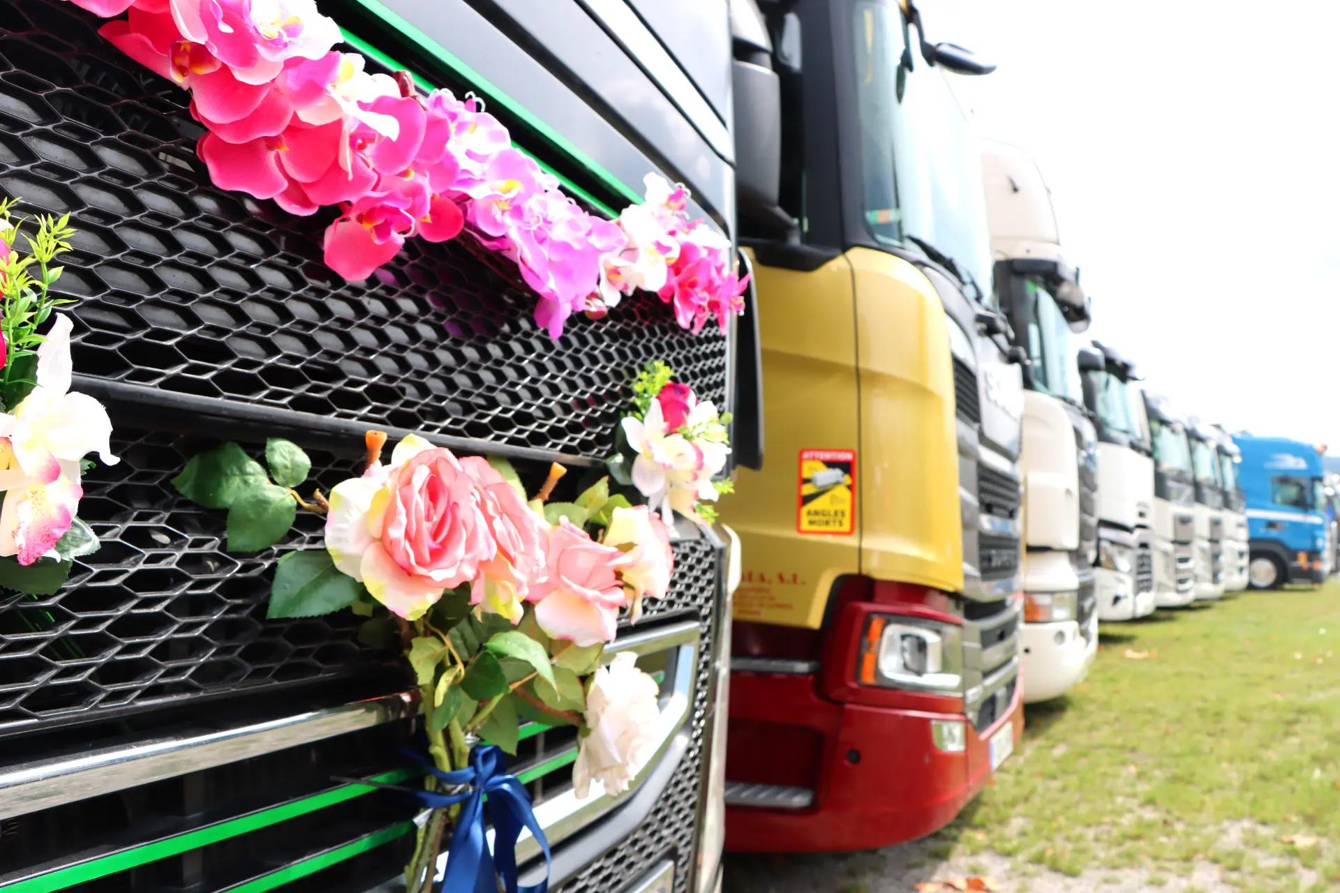 Primer plano de camiones de Olot alineados, con un camión decorado con coloridas flores artificiales en su parrilla durante una concentración de camiones.