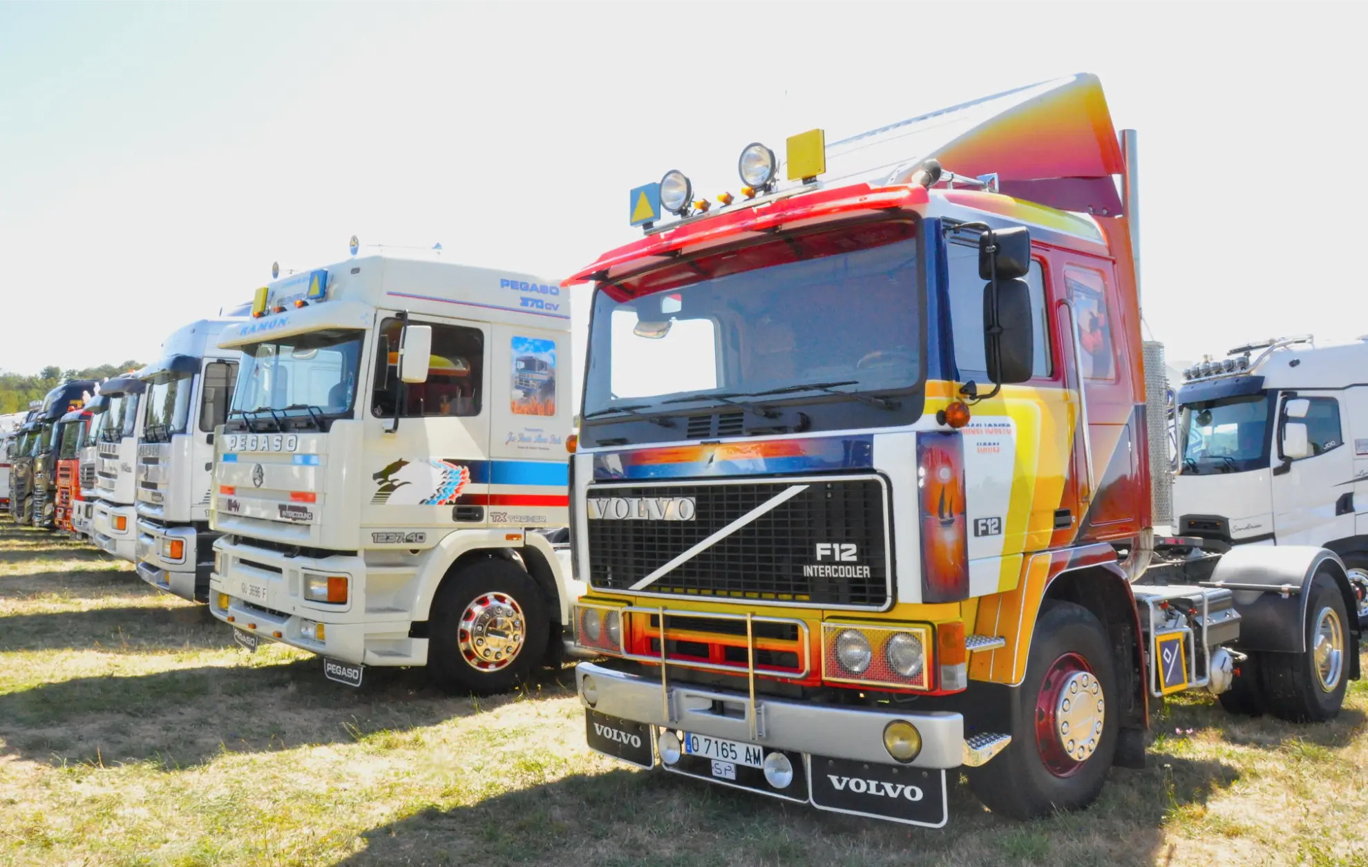 Coloridos camiones antiguos, entre ellos un Volvo F12 rojo y amarillo, aparcados en fila sobre la hierba a la luz del sol en la Quedada de Camiones Soncillo 2025, perfecta tanto para las fotos como para los entusiastas de los camiones.