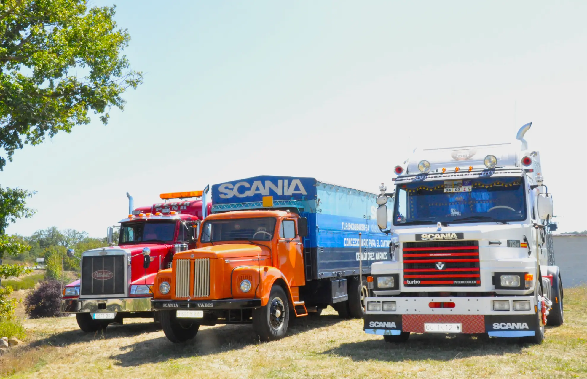 Tres coloridos camiones -rojo, naranja y blanco- aparcados uno junto al otro en un terreno cubierto de hierba bajo un cielo soleado durante la Quedada de Camiones en Soncillo 2025.