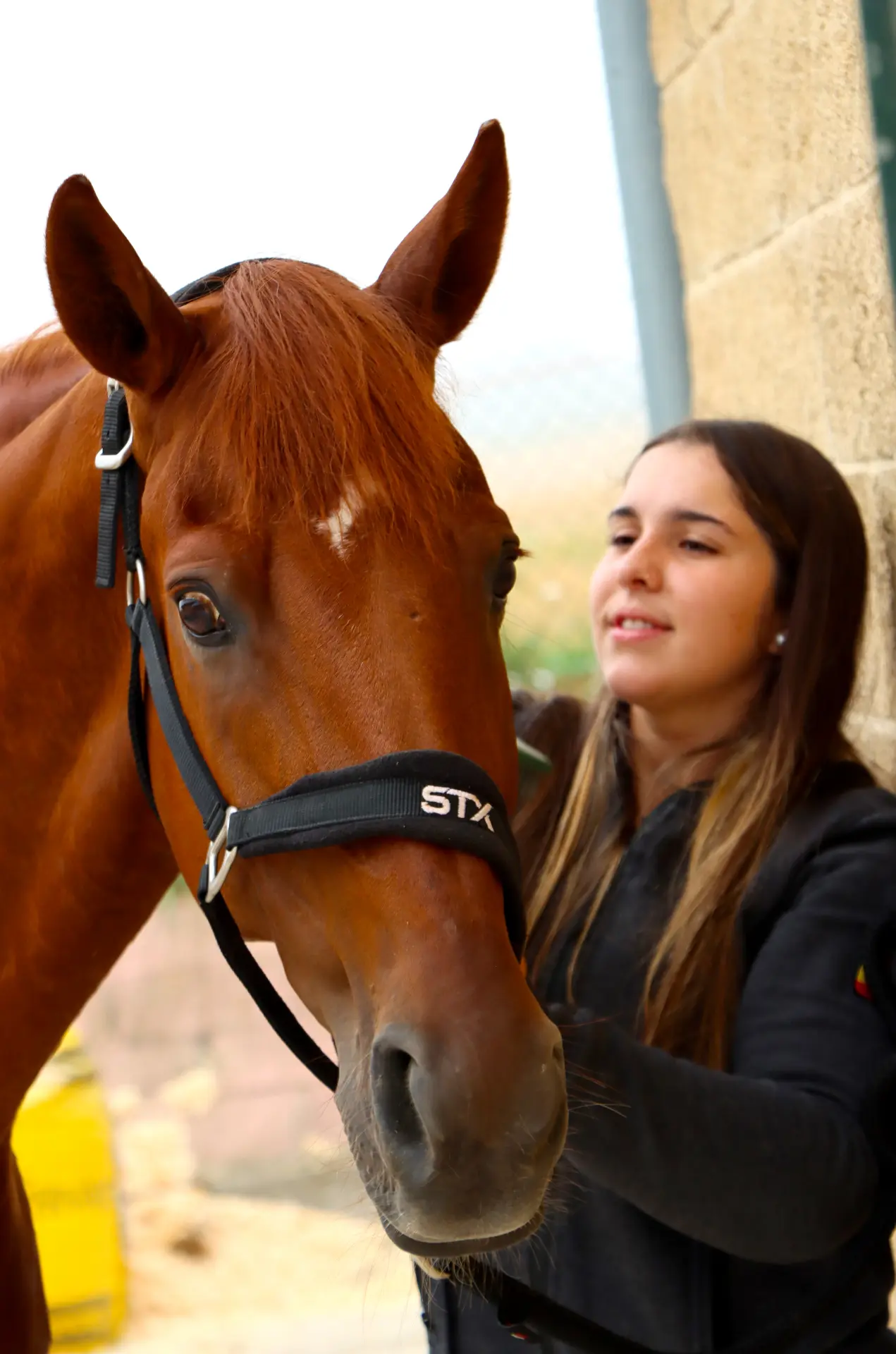 Una joven de pie junto a un caballo marrón, sujetando su ronzal y sonriendo, como si posara para un borrador automático.