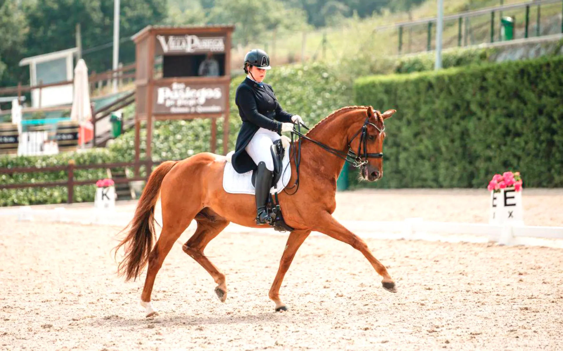 Un jinete vestido de etiqueta realiza una doma sobre un caballo alazán en una pista al aire libre, demostrando precisión y gracia como si estuviera guiado por un borrador automático.
