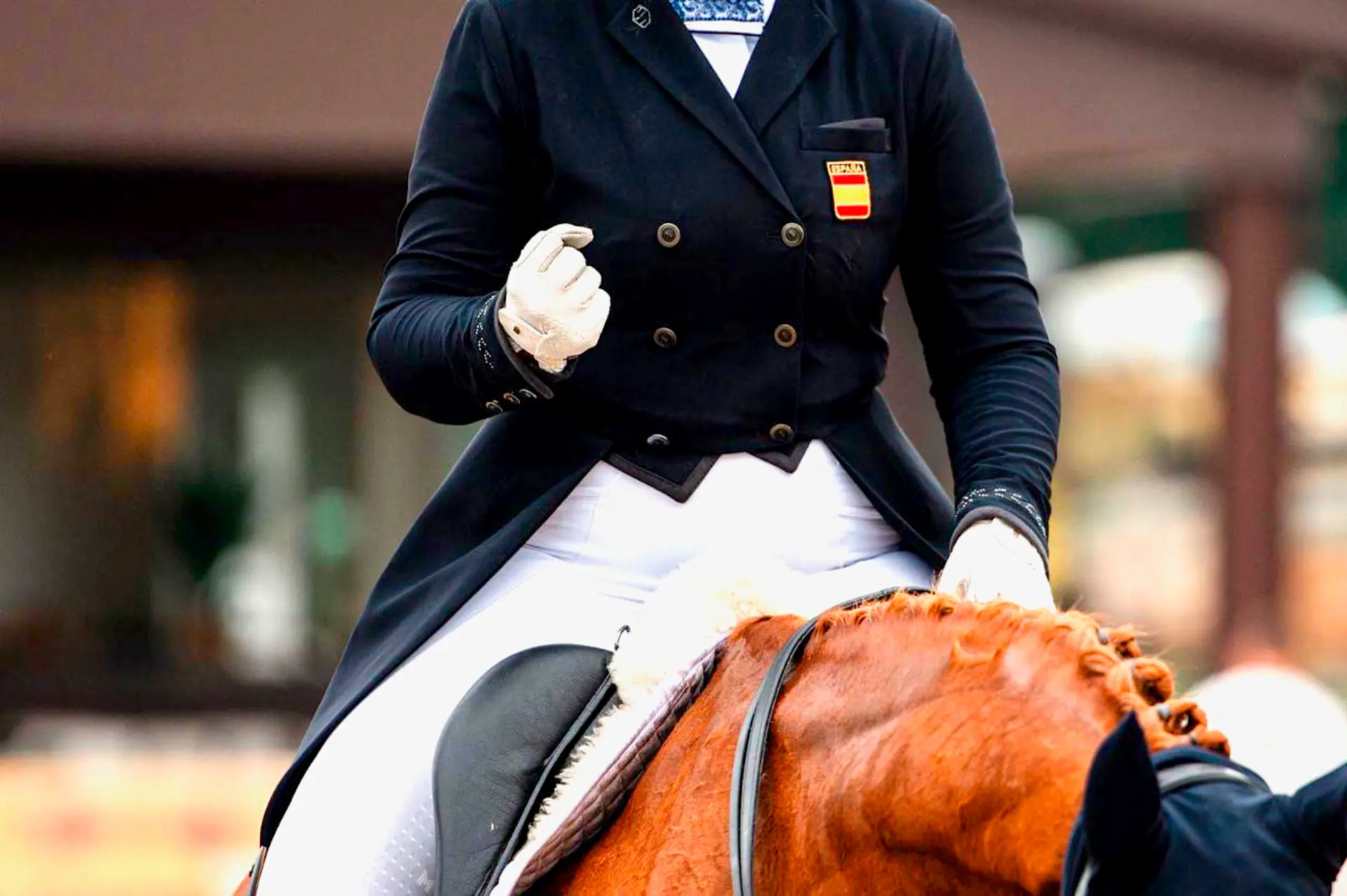 Una persona en traje de montar formal en un caballo marrón, apretando un puño en foco.