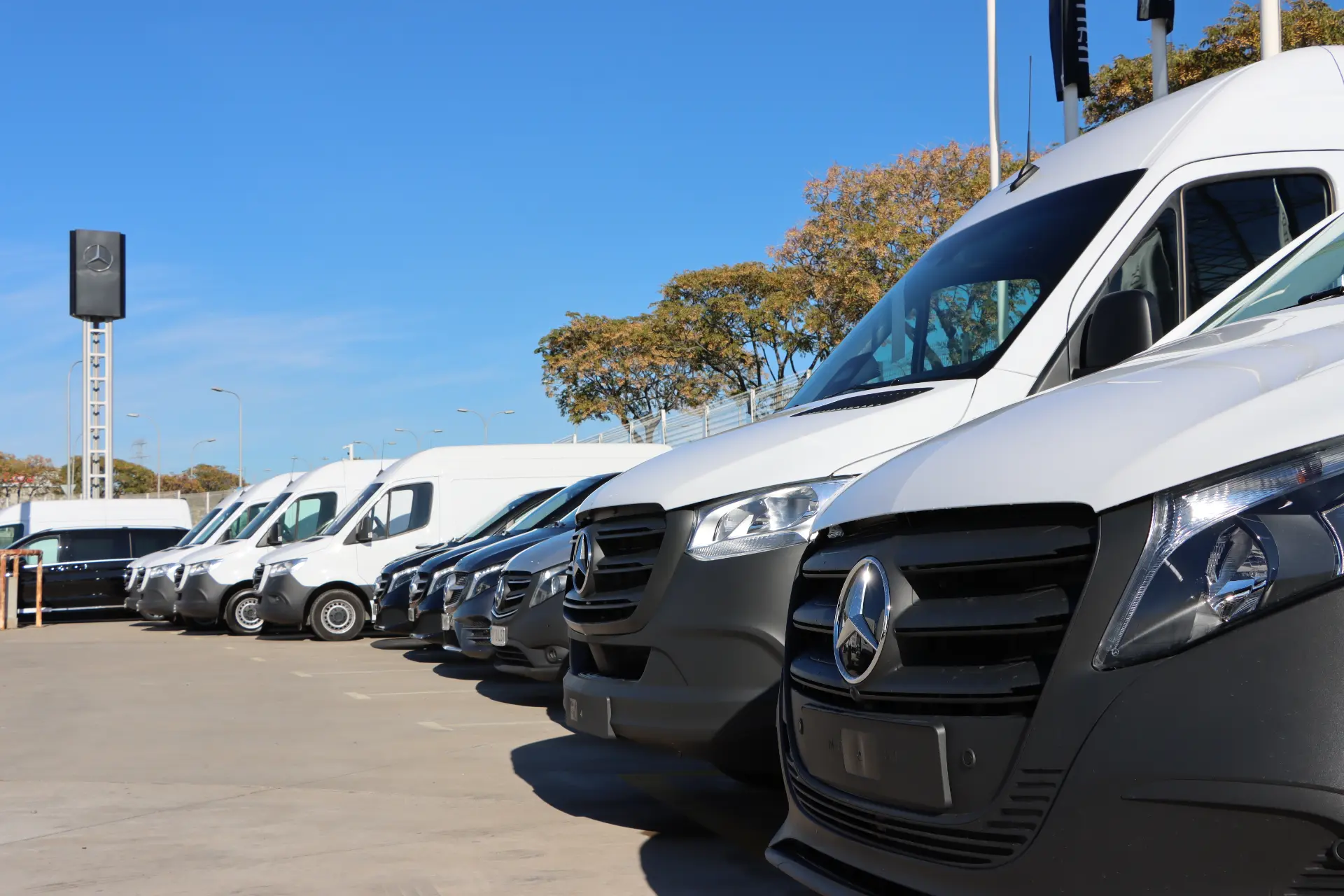 Una hilera de furgonetas Mercedes-Benz blancas y grises aparcadas al aire libre en un concesionario de Quadis Autolica.