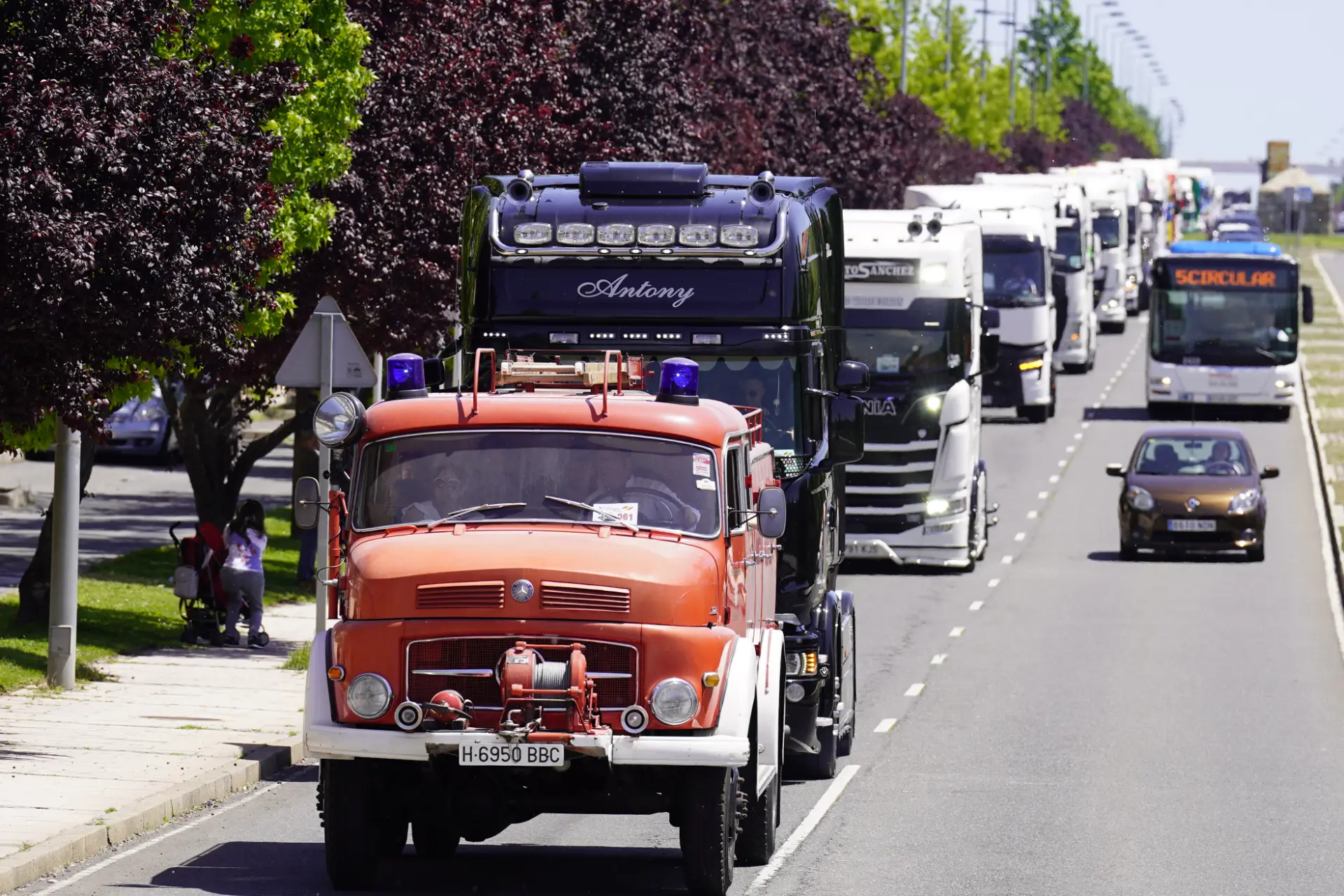 Una hilera de vehículos, entre camiones y coches, recorre una calle arbolada de Ávila durante un día soleado, formando parte de una concentración solidaria de camiones.